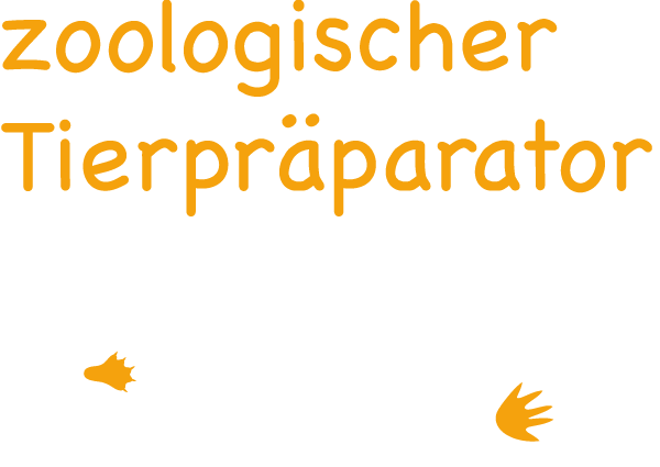 Zoologischer Tierpräparator Deutsch
