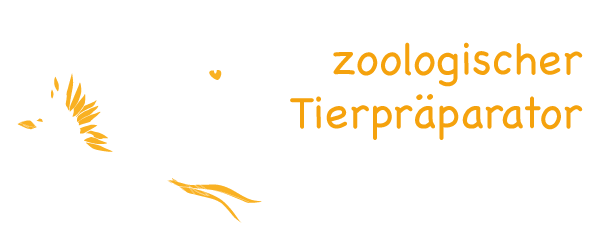 Zoologischer Tierpräparator Deutsch